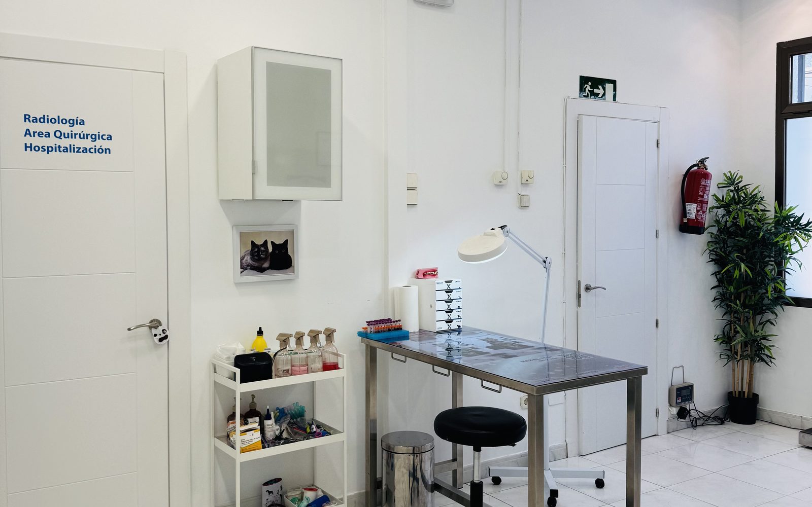 Consulta con acceso a radiología, área quirúrgica y hospitalización en EME VET Hoyo de Manzanares